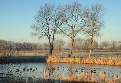 Logies De Meerkoet