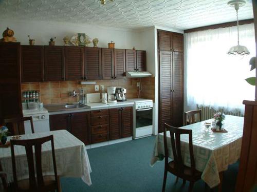 Konyha, Pension Villa Hany in Hamrniky