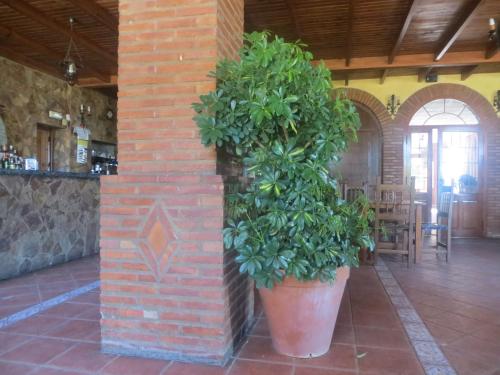 Krogs/atpūtas telpa, Hostal Campoabierto in Valencia de las Torres