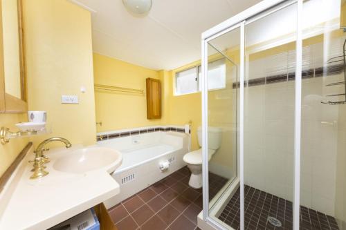 Camelot 6, Forster (foto 10)
