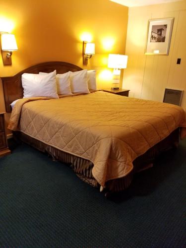 Shasta Lodge - main image