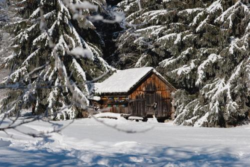 Ferienparadies Wiesenbauer