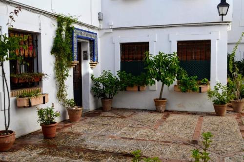 El Patio De La Aljama, Córdoba
