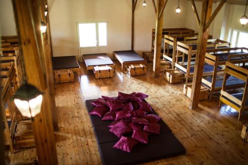 Kacze Bagno - Miejsce Inicjatyw Pozytywnych in Kozlowo