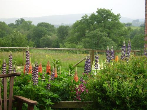 Smithfield Farm Bed & Breakfast - image 11