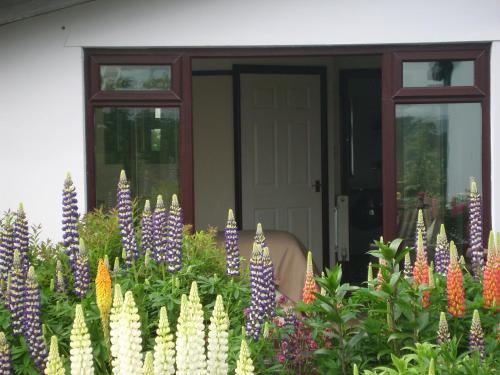 Smithfield Farm Bed & Breakfast - main image