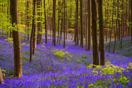  Kasteel Gravenhof in Dworp