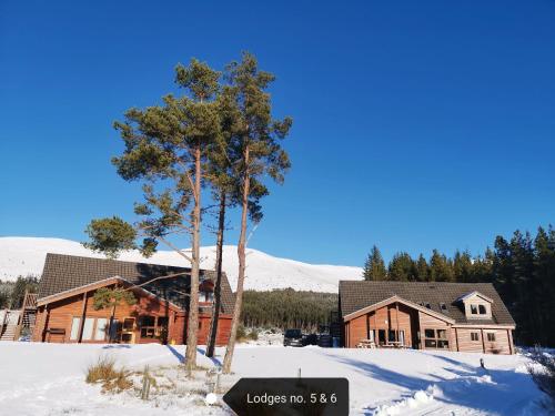 Spacious Forest Lodge 3 - Pet-Friendly