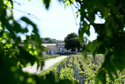 Belle maison bourgeoise de charme dans un domaine viticole