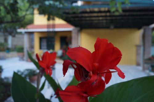 Villa Sofia - image 13