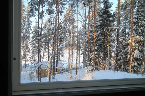 Lake Cottage Jänisvaara