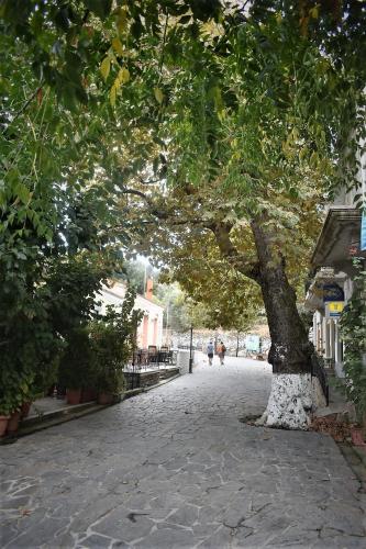 Christos Raches traditional houses