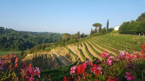 RESIDENCE IL VIGNETO