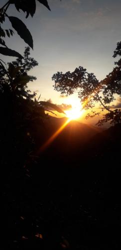 Saveen View Ella