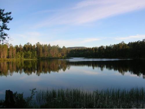 Lemmenjoen Lumo - Nature Experience & Accommodation - image 7