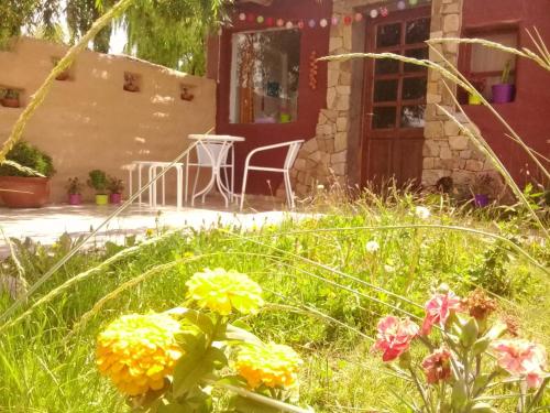 Cabaña El Cardón,casita en el campo quebradeño (Cabana El Cardon,casita en el campo quebradeno) in 烏瑪華卡