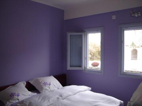 Thera Incognita Studios Room Type - Studio