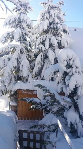 Ferienwohnung " MILA" in Schwarzwald near Titisee