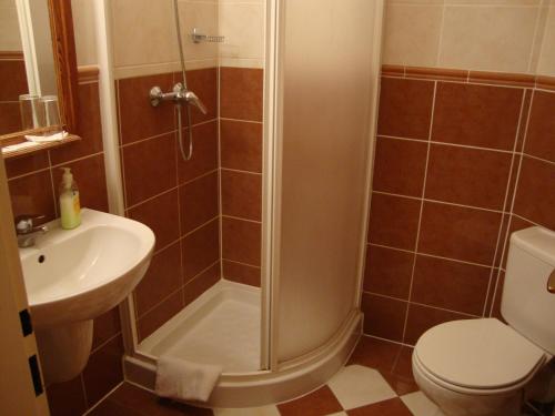 Hotel Modrava - image 11