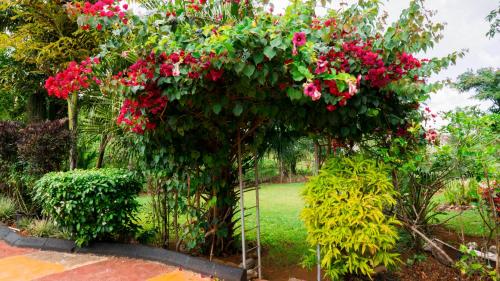 Cliffe Ranch, Mandeville (Foto 7)