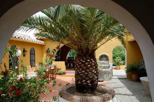  Hotel B&B Finca la Loma in Comares
