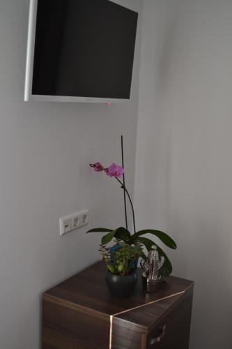 Hotel Myrsini - image 4