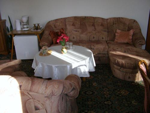 Zuhanyzó, Pension Villa Hany in Hamrniky