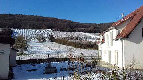 Aux vignes - Gleiszellen-Gleishorbach