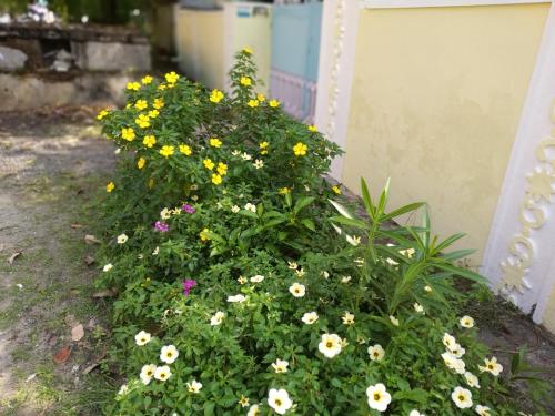 Casa Feliz – Cochin, NE