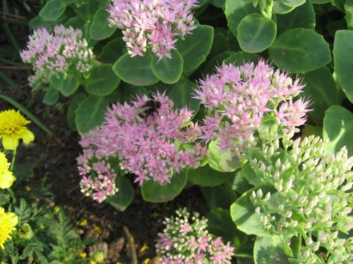 Wohnung in Boltenhagen in Strandnaehe