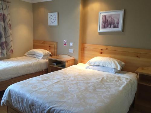 Algret House B&B - image 3