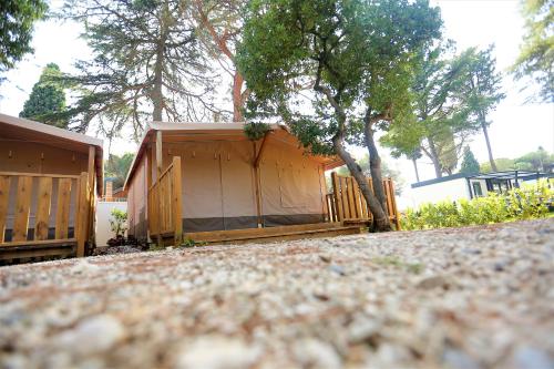 Tent with Terrace image 6