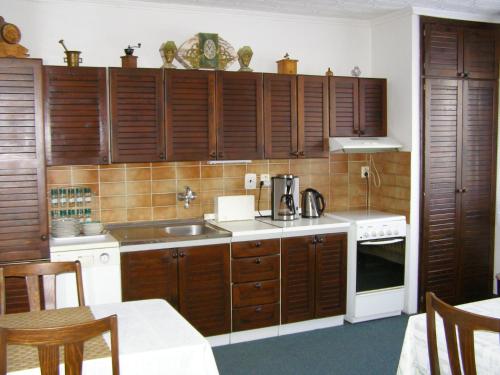 Konyha, Pension Villa Hany in Hamrniky