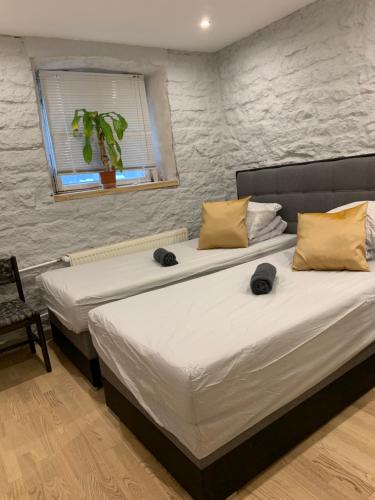 Hostel Suda5 in Lower Town