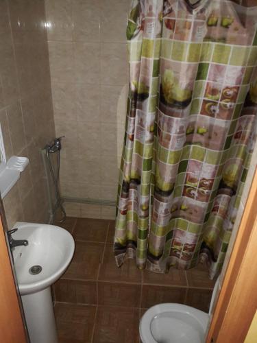 U Svetlany Guest House - image 6