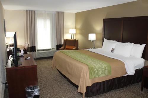 Comfort Inn Suites Griffin In Ga