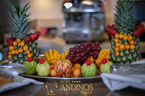 180204074 Hotel Andinos Plaza Florencia