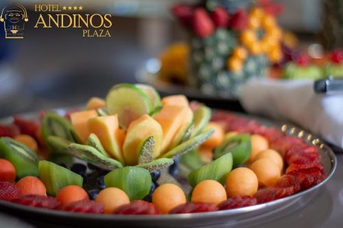 180204090 Hotel Andinos Plaza Florencia