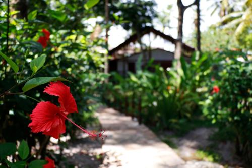 Pousada Pérola do Atlântico