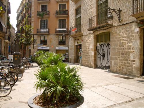 Hostal Nitzs Bcn - main image