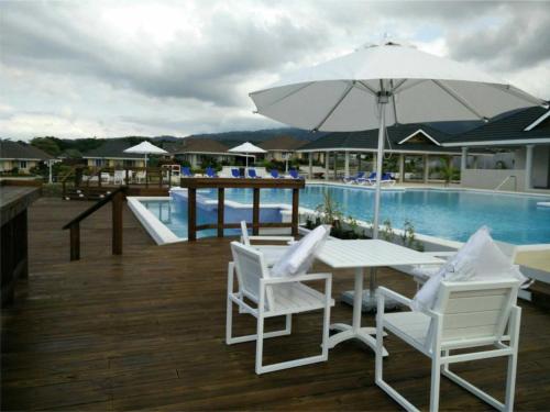 Swimming pool, The Artist Place Villa at Richmond Estates St Ann in Plantation Village