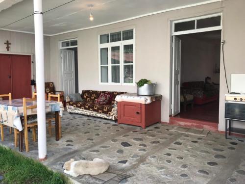 Ciuri's Guesthouse in Tsaldashi