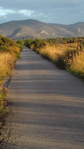 Albergo Rispescia - image 14