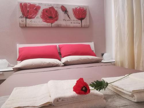 B&B Polline & Conchiglie - Accommodation - Ceriale