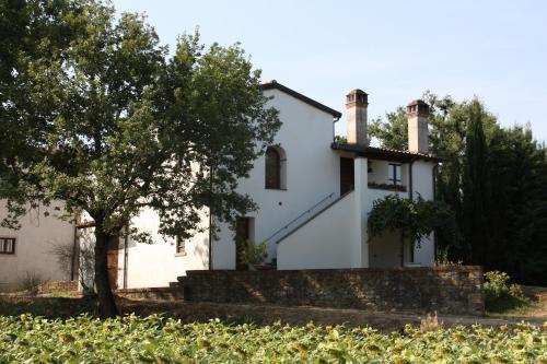  La luna e i falò in Arezzo
