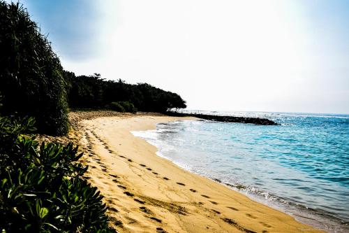 Tenasi Beach Resort in Mirissa