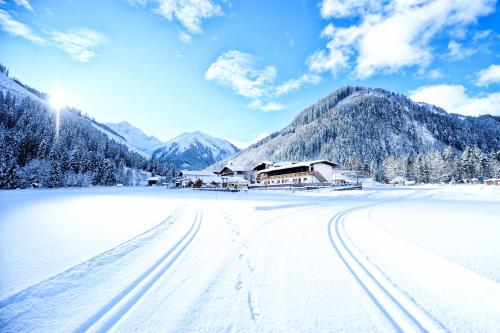Appartements & Chalets Wiesenruh - image 6