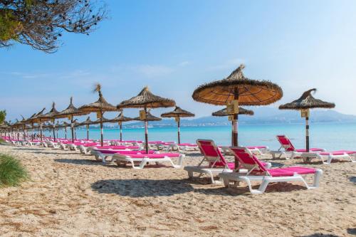 กิจกรรม, โอสตัล กาลมา (Hostal Calma) in อัลกูเดีย