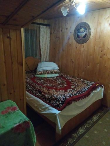 U Daryny - main image