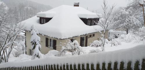 Magic House Under Arber 185m von Bayerisch Eisenstein entfernt